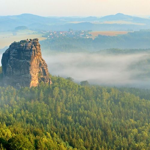 Grünpflege in Sachsen